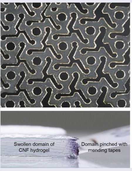 A Kirigami pattern of the hydrogel (top) and the hydrogel swollen from dry state (bottom).