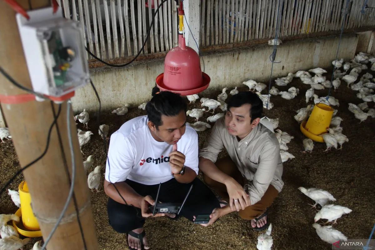 A lecturer at the Faculty of Animal Science at Brawijaya University, Danung Nur Adli (right), explains the functioning of an IoT-based chicken coop temperature monitoring system that he developed, in Malang, East Java, on Tuesday (March 11, 2025). (ANTARA FOTO/ARI BOWO SUCIPTO)