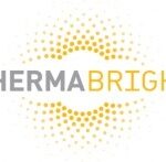 Therma Bright Grants Stock Options