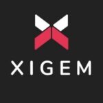 Xigem Technologies Updates Status of Tripartite Loan Agreement: Customer Held in Default of Loan Obligations
