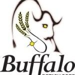 Buffalo Potash Announces Preliminary Economic Assessment for Disley Project with After-Tax NPV of US$1.1B and IRR of 30%; Releases Results from Maiden 43-101 Mineral Resource Estimate