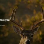 HuntScout Launches to Help Hunters Navigate Public and Private Land Across the U.S. and Canada