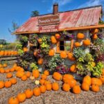 CrowdFlowCo Expands Agritourism Marketing Program, Says Seasonal Venues Are Marketing in the Wrong Season